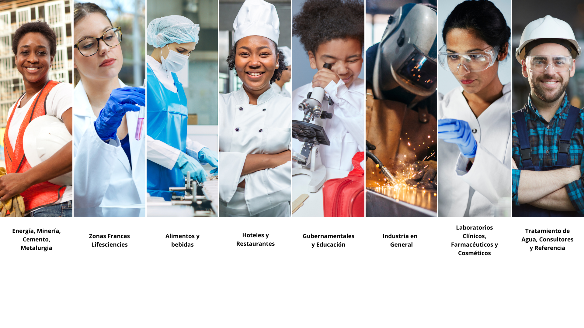 CMS Odoo - Una gran imagen