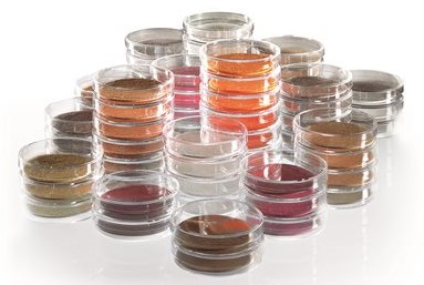 NKS/NPS Contiene: Endo + Petri 60mm + Almohadilla + Membrana Blanca 0.45 um
